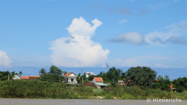 43. Picture