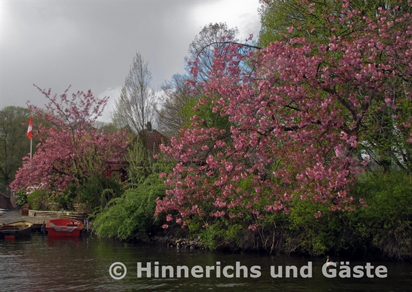 48. Picture