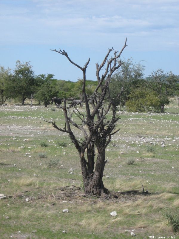 4. Picture