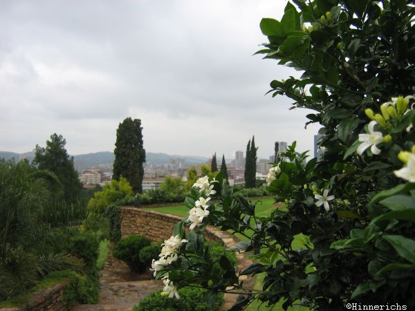 29. Picture