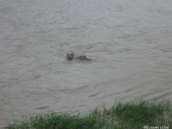 33. Picture
