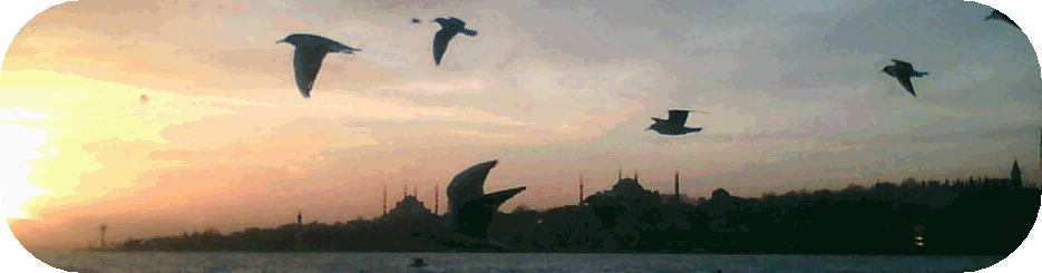 Blick auf Sultanahmet von der Fähre