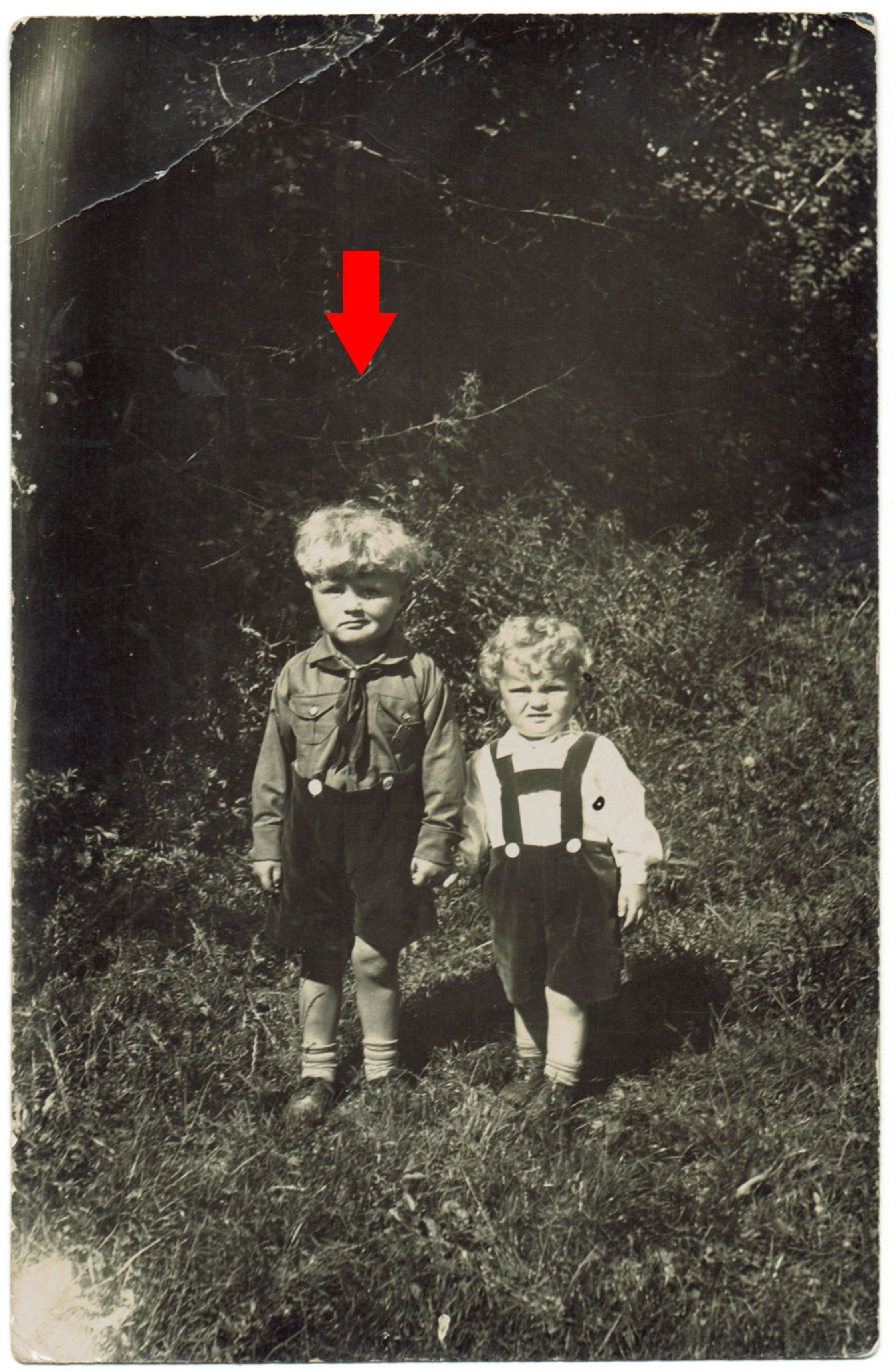 1. Picture