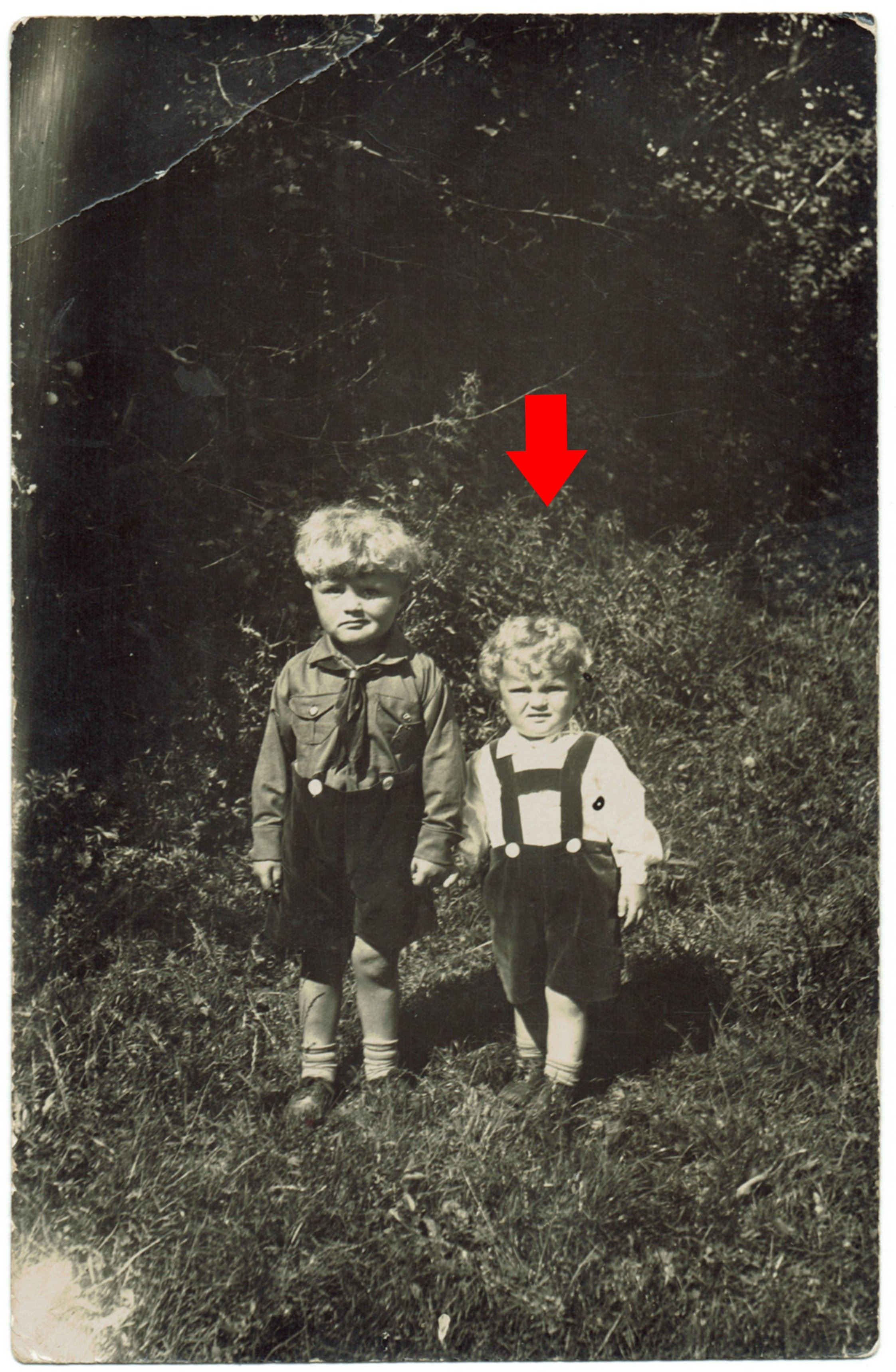 3. Picture