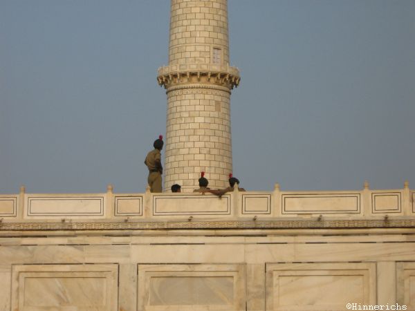 10. Picture
