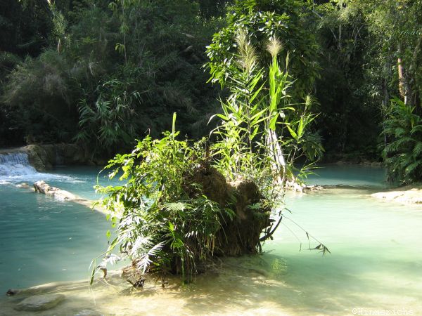 47. Picture
