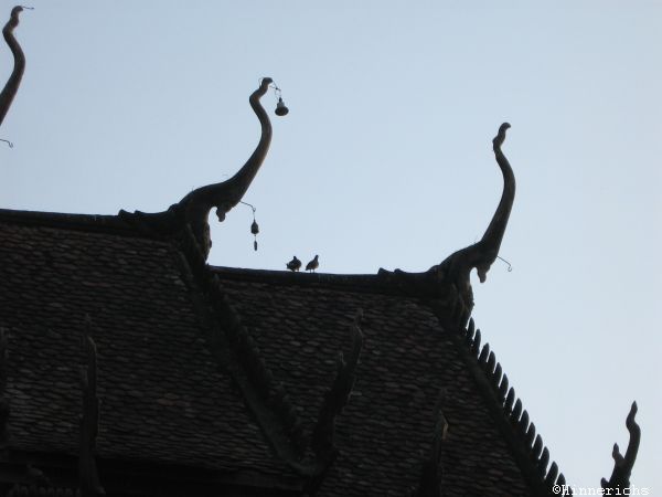 80. Picture