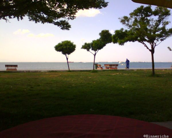 1. Picture