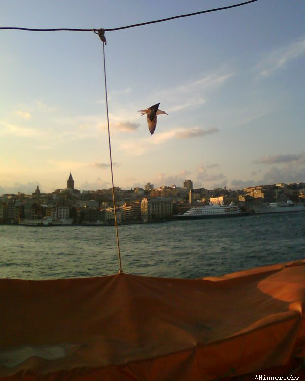2. Picture