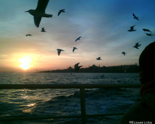 18. Picture