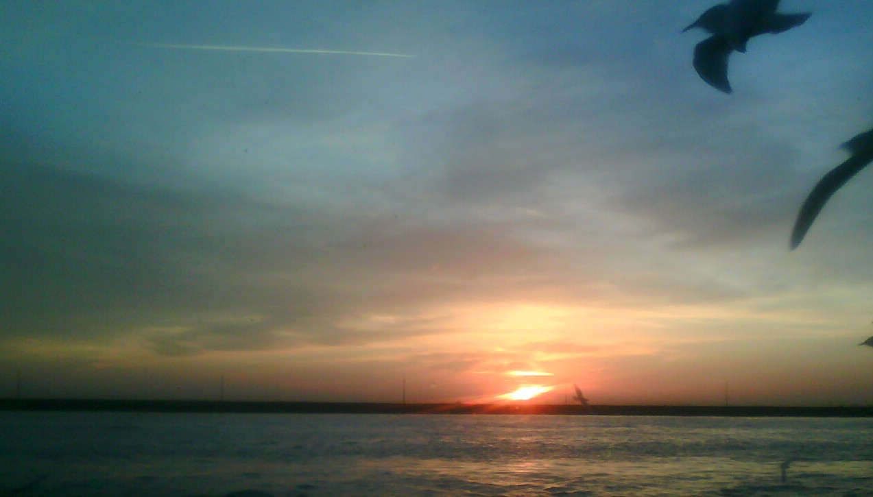 19. Picture