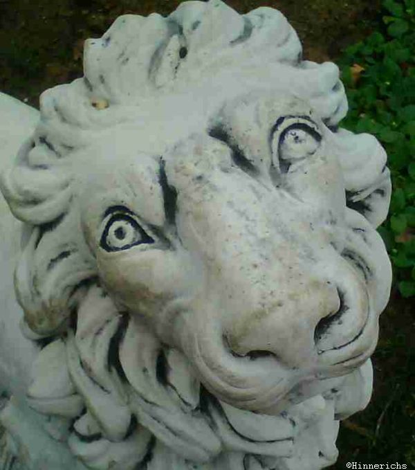 42. Picture