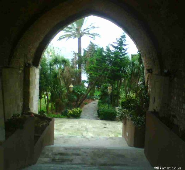 43. Picture