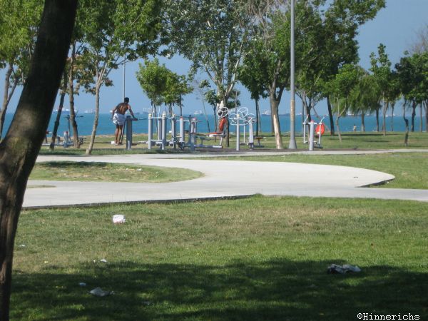 51. Picture