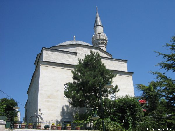 61. Picture