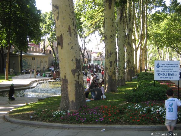78. Picture