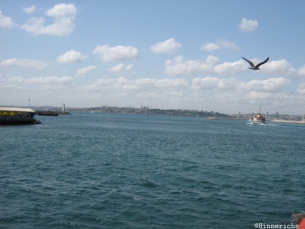 110. Picture