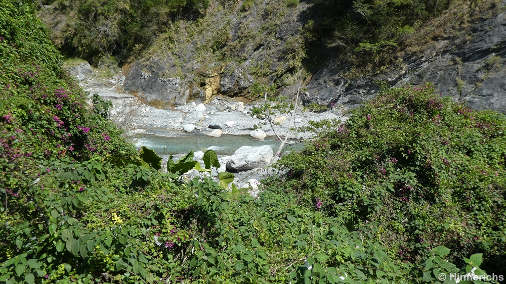 86. Picture