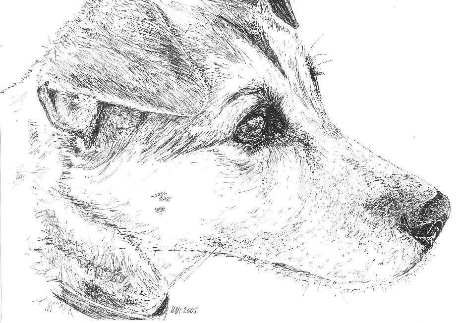 2005 - El Perro, Teneriffa