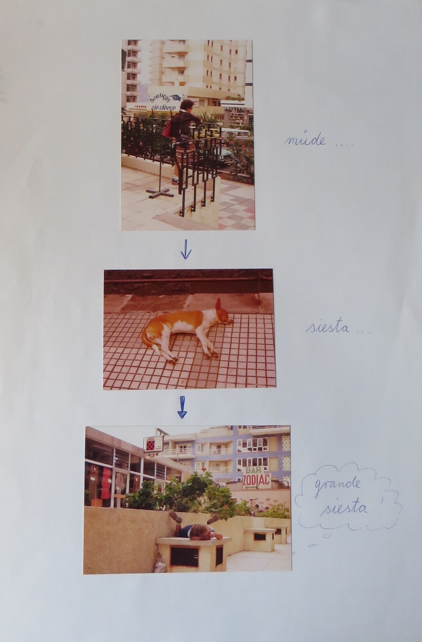 8. Picture