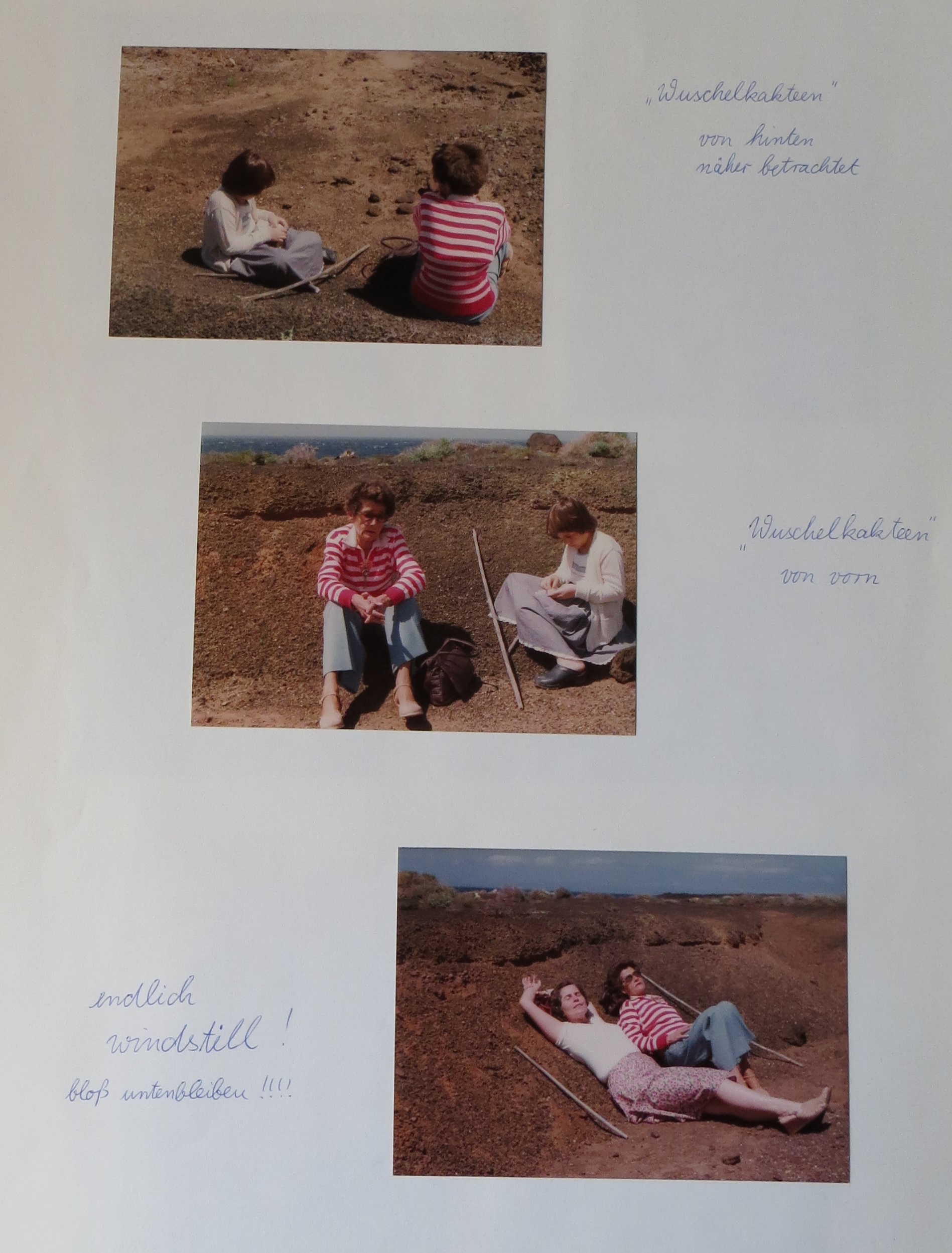 12. Picture
