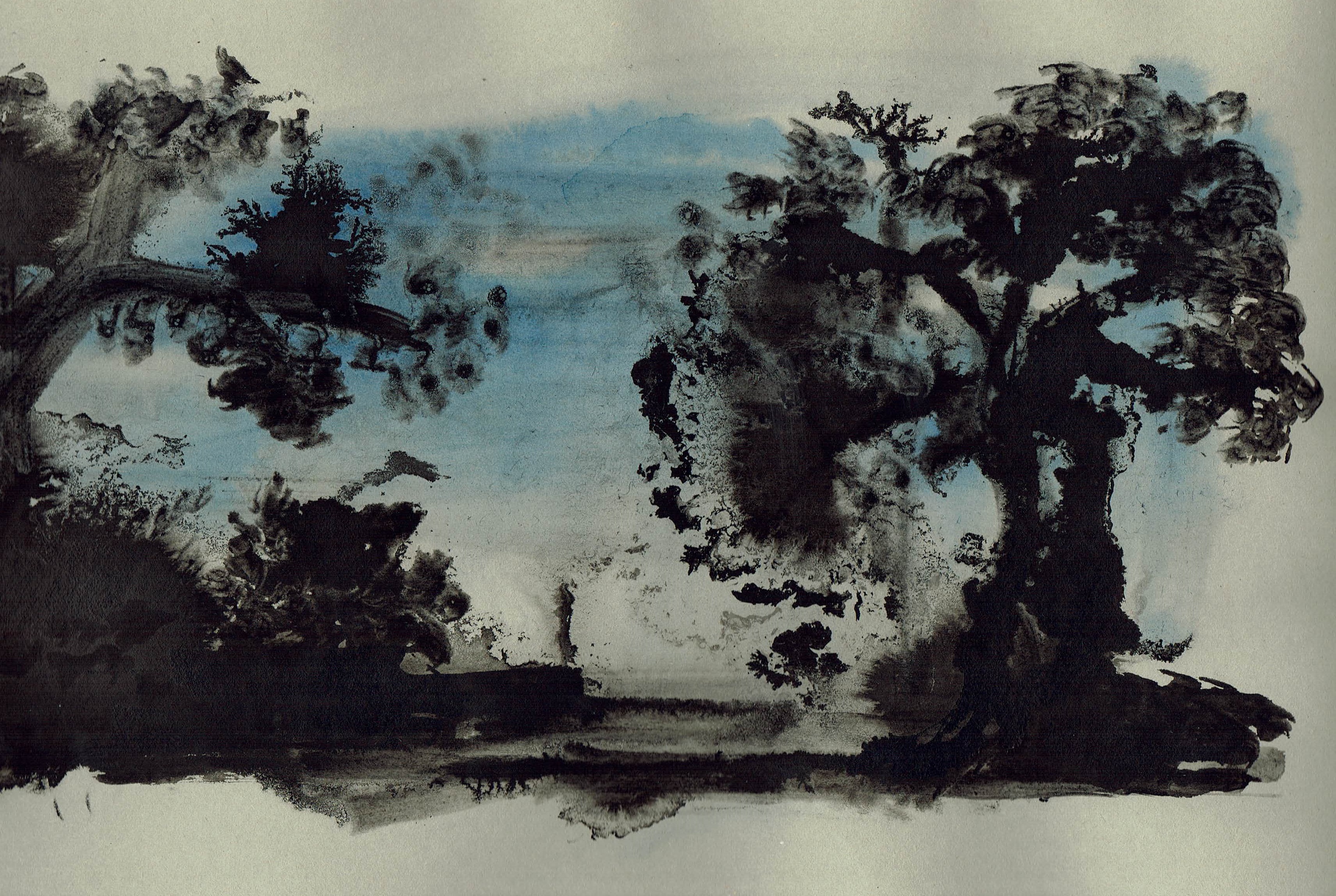19. Picture